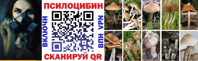 Галлюциногенные грибы Magic Shrooms  Можга 
