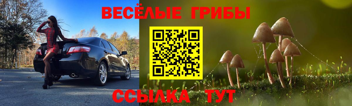 Можга  Псилоцибиновые грибы мицелий  Вход с VPN 