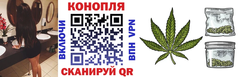 где можно купить наркотик  Можга  KRAKEN вход  Каннабис индика 