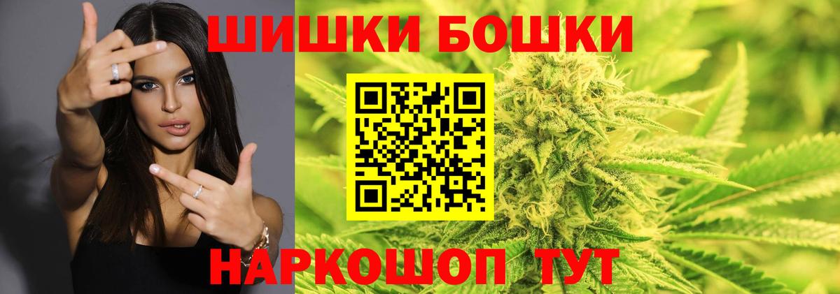 Бошки Шишки планчик Можга